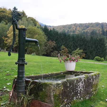 A L'oree Du Bois בית הארחה Oberhaslach